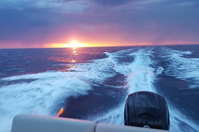 Dubrovnik Speedboat Quicksilver 675 Private Tours - Practical Details Before You Book