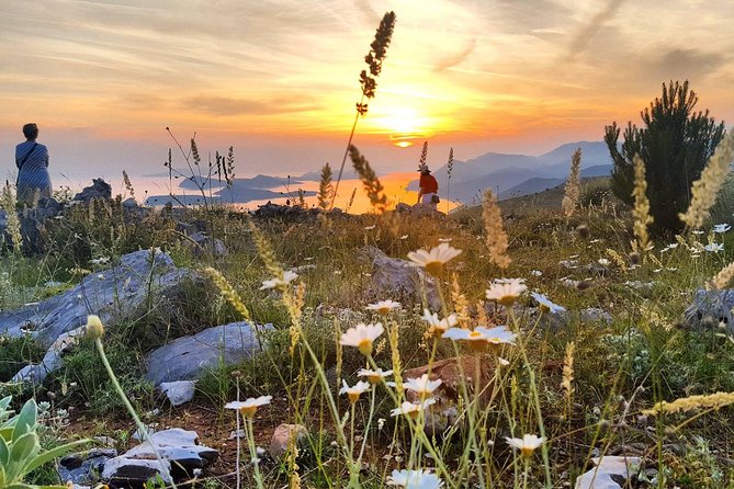 Dubrovnik Sunset Tour with Wine Tasting - What this Dubrovnik sunset tour actually does