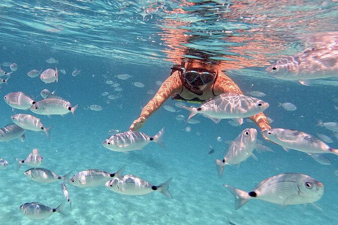 Dugi Otok Island Discovery Day Tour from Zadar - Sakarun Beach Gives You a Longer Pause