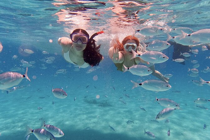 Dugi Otok Island Discovery Day Tour from Zadar - Snorkeling Around the Veli Rat Shipwreck