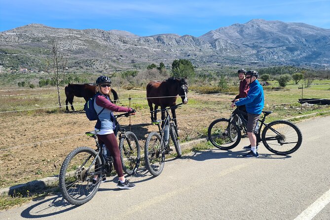E-Bike Tour + Gourmet Lunch + Wine Tasting (Small Group) - Who will enjoy this tour most