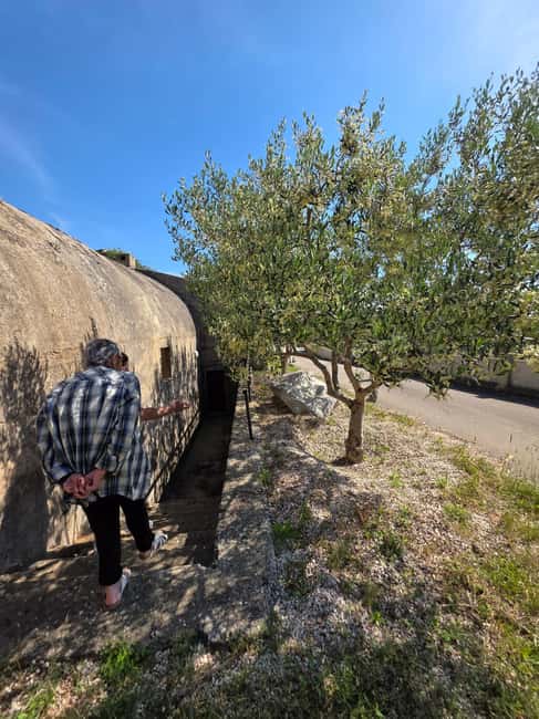 Eco tuk tuk Highlights of Zadar - The additional local stops
