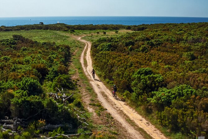 Electric Off-Road Scooter Tour in Pula - The Safari Bar stop among bamboo and trees