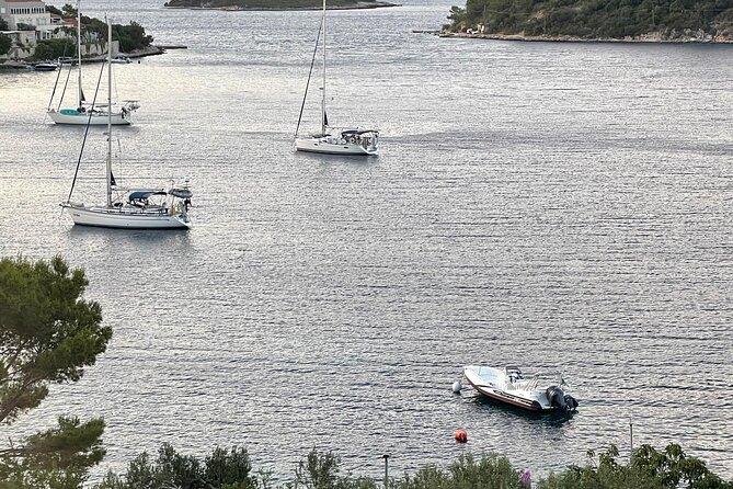 Explore Korčula, Lumbarda, and Hidden Adriatic Gems - Vrnik brings stone, swimming, and quiet shorelines