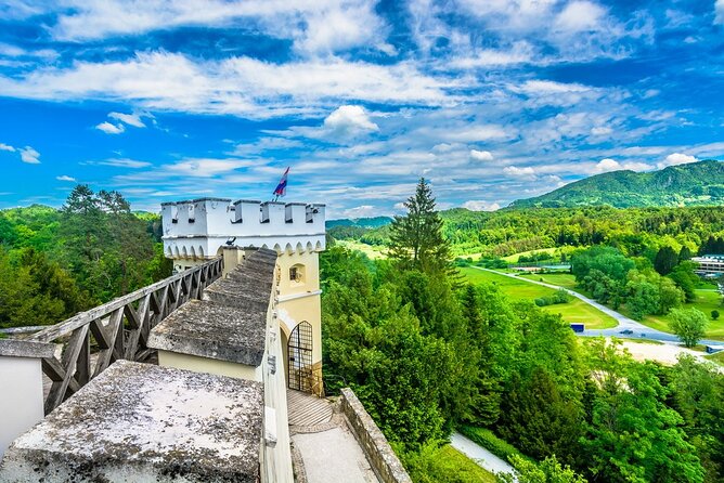 Fairytale Castle & Wine Tasting & Lunch - What the guide adds to the day