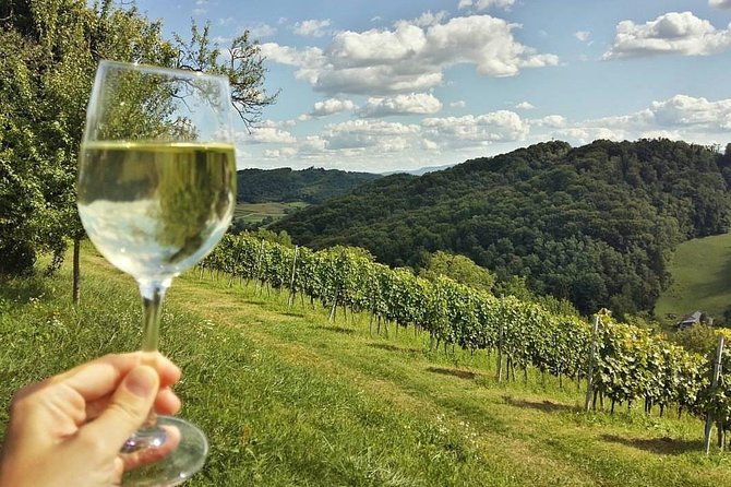 Fairytale Castle & Wine Tasting & Lunch - Is $343.27 a fair price?