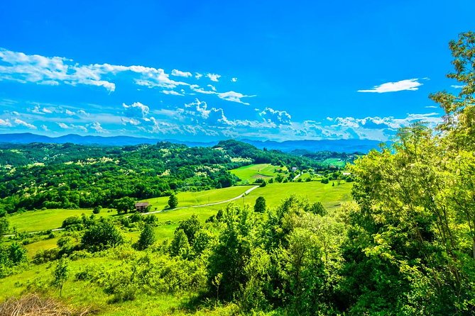 Fairytale Castle & Wine Tasting & Lunch - The second castle or private historic home
