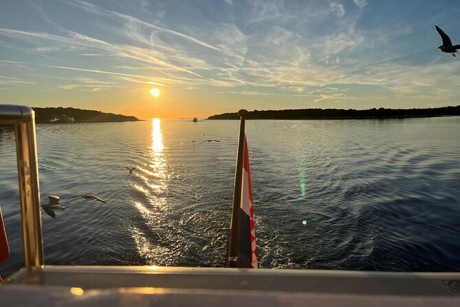 Fantastic DOLPHIN & SUNSET TOUR with dinner ( Pula-NP BRIJUNI ) - Price, group size, and practical fit