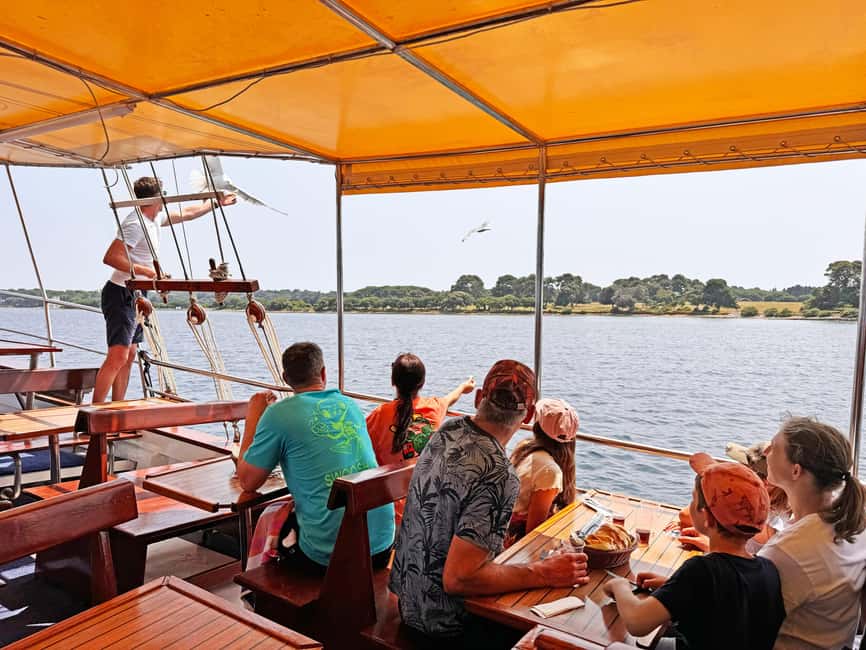 Fazana: Dolphin Finder in Brijuni islands Safari with Dinner - Key points to know before booking