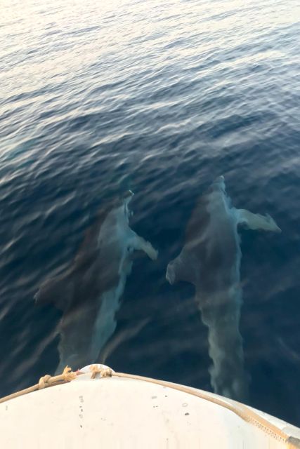 Fazana: Guided Dolphin Watching Sightseeing Cruise at Sunset - The sunset payoff, even without dolphins