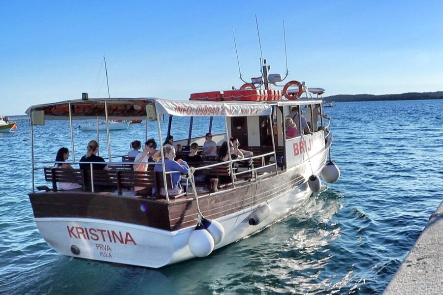 Fazana: Guided Dolphin Watching Sightseeing Cruise at Sunset - What dolphin watching is really like