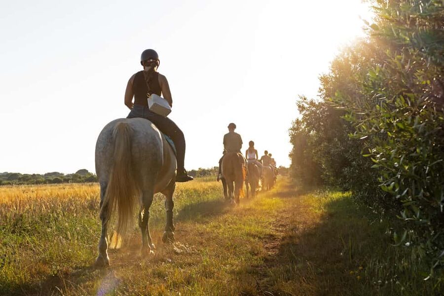 Fazana: Sunset 1-hour Horse Riding in Nature with Guide - Key points before you saddle up