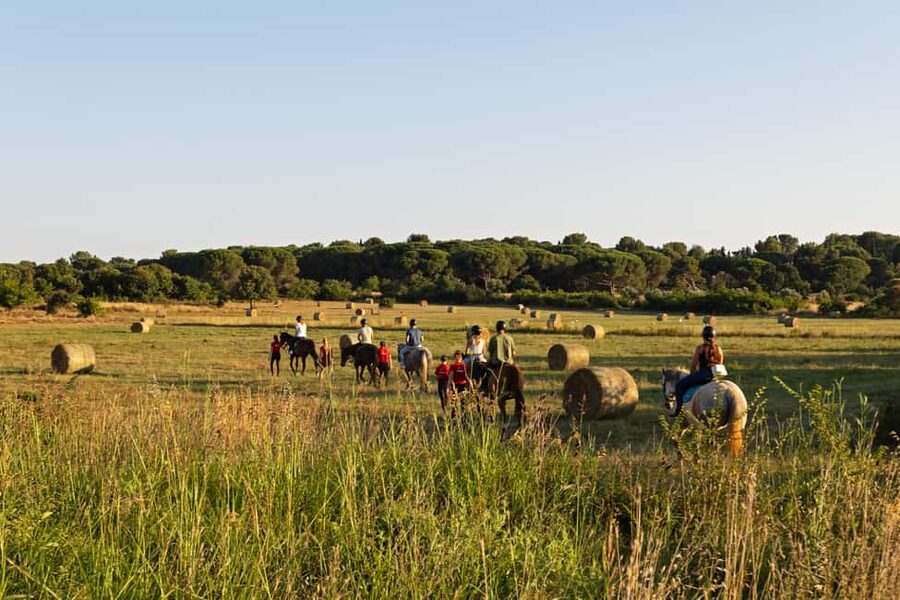 Fazana: Sunset 1-hour Horse Riding in Nature with Guide - Riding into Fažana’s pine woods