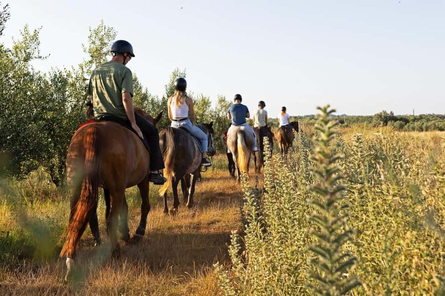 Fazana: Sunset 1-hour Horse Riding in Nature with Guide - Passing olive groves and old trees