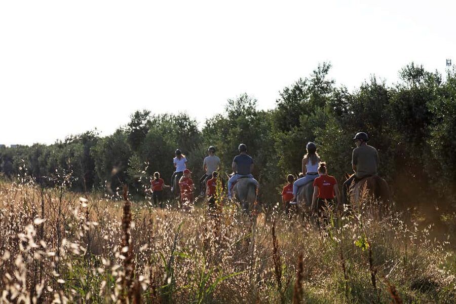 Fazana: Sunset 1-hour Horse Riding in Nature with Guide - What $58 buys you in Fažana