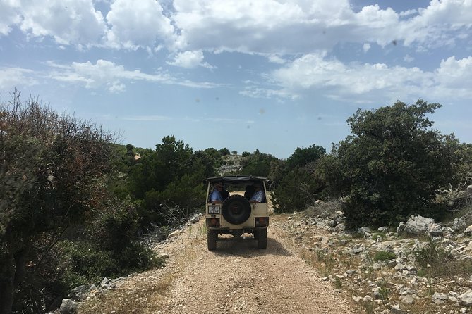 Feel and Taste island Brac with local experts - island adventure to remember - Lunch with local food, wine, and a real sense of place