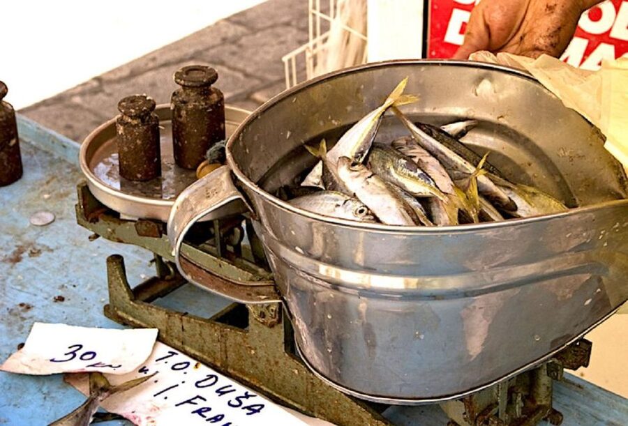 Food Tour in Split ( Small Group) - Split Fish Market and Mediterranean food habits
