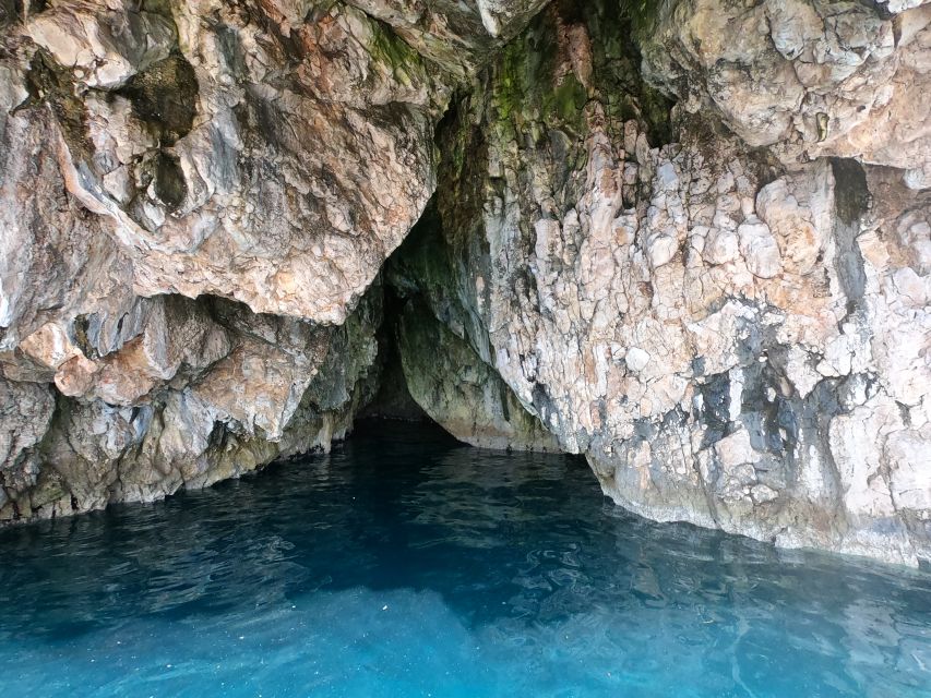 From Dubrovnik: 4-hour Elafiti Islands Private Boat Tour - What the skippers add to the day