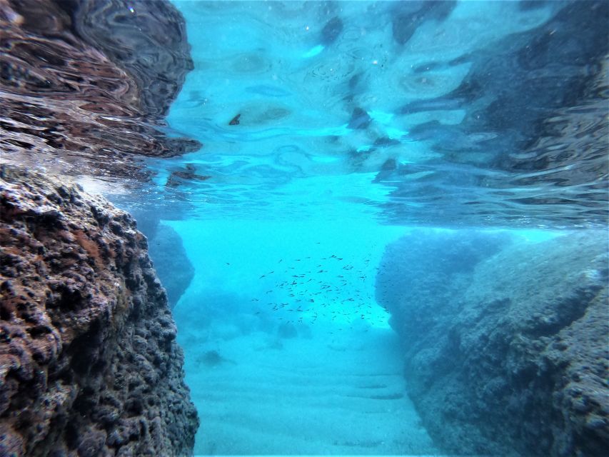 From Dubrovnik: 4-hour Elafiti Islands Private Boat Tour - The fuel charge and overall value