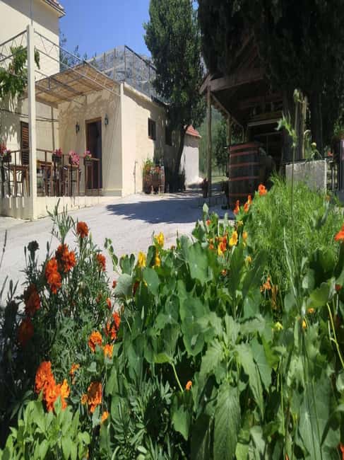 From Dubrovnik: Half-Day Wine Tasting and Cavtat City Tour - From Dubrovnik to the quiet Konavle Valley