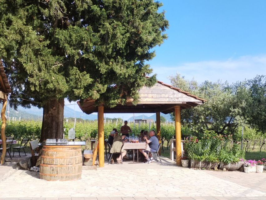 From Dubrovnik: Half-Day Wine Tasting and Cavtat City Tour - What the host explains about wine and food
