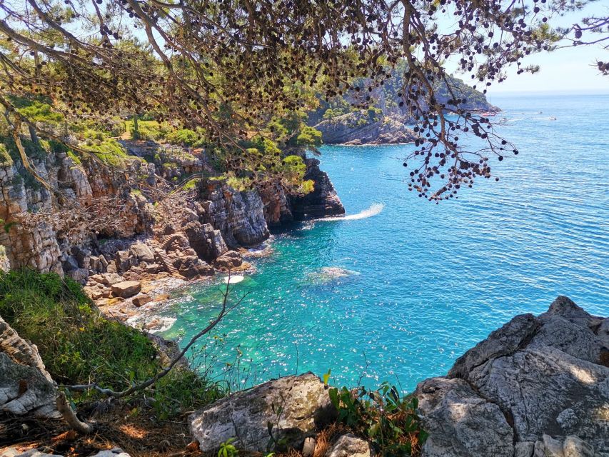 From Dubrovnik: Hiking & Swimming on Koločep Island Day Trip - Lunch at a family-run fish restaurant