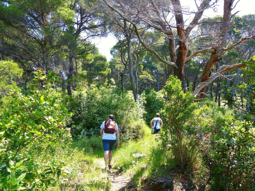 From Dubrovnik: Hiking & Swimming on Koločep Island Day Trip - What the $104 price really covers