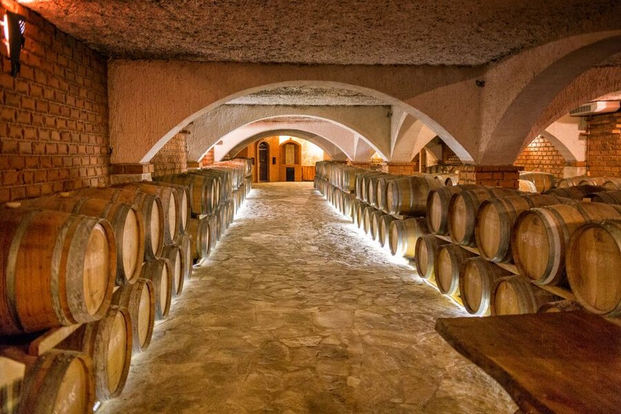 From Dubrovnik: Island of Korčula with wine tasting - Is $93 a good price?