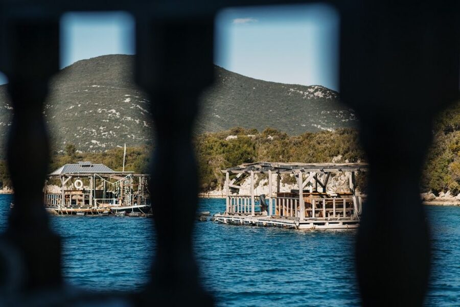 From Dubrovnik: Mali Ston Oyster Paradise Tour with Transfer - Who will enjoy this experience most