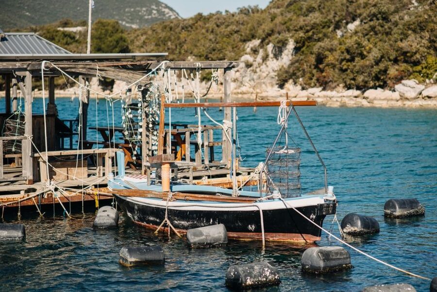 From Dubrovnik: Mali Ston Oyster Paradise Tour with Transfer - Practical booking advice