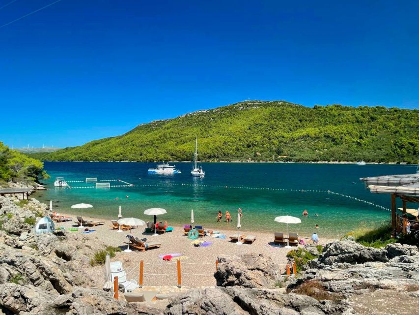 From Dubrovnik: Mljet National Park & Elaphiti Islands Trip - Why this speedboat trip works so well