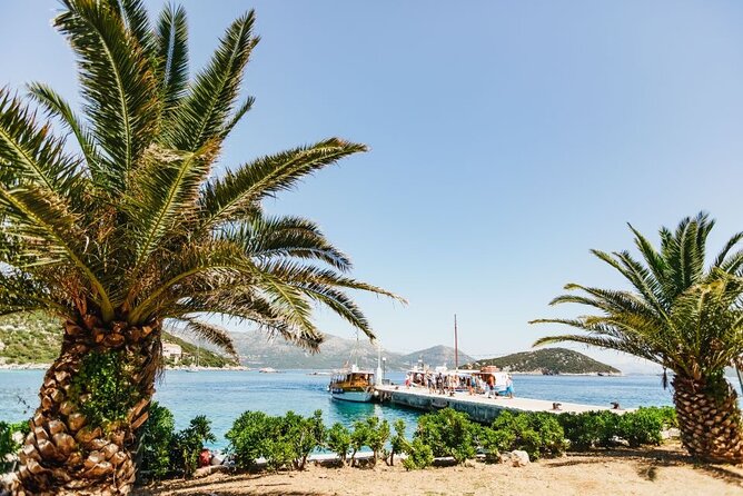 From Dubrovnik: Premium Three Island Cruise with lunch and drinks - Šipan: olive groves and a slower hour