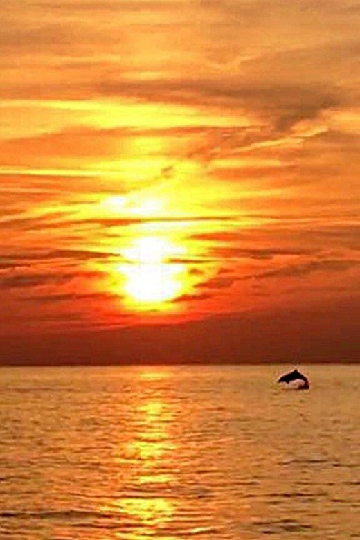 From Fazana: Dolphin watching sightseeing cruise at sunset - Leaving Fazana from the main pier