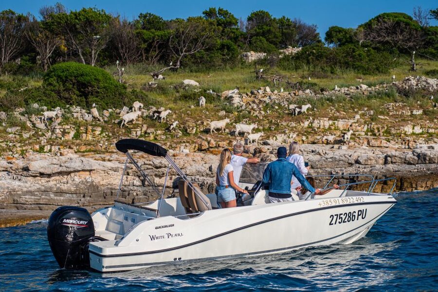From Fažana: Private boat tour of Brijuni Islands - Key points to know before booking