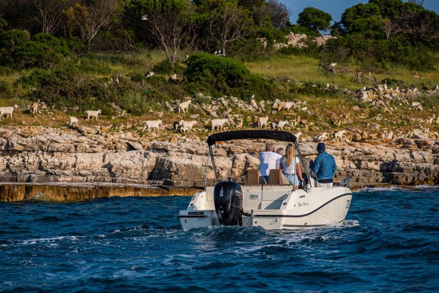 From Fažana: Private boat tour of Brijuni Islands - Should you book this tour?