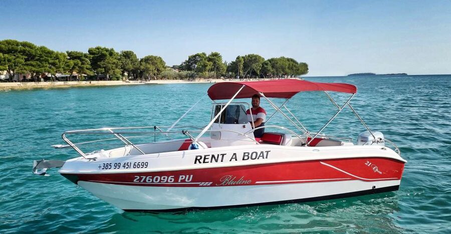 From Fazana: Private sunset dolphin tour - Key points to know before you book