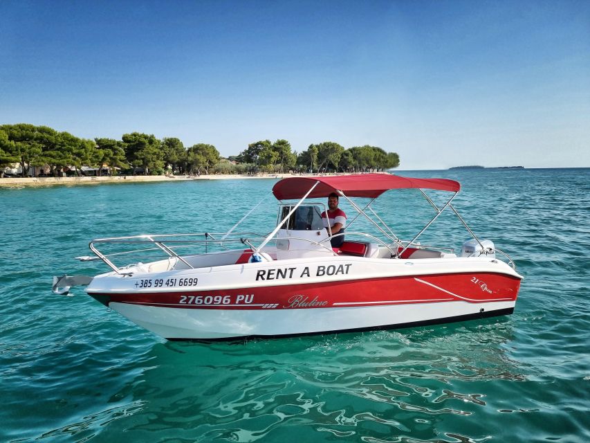 From Fazana: Private sunset dolphin tour - The skipper can make or break the evening