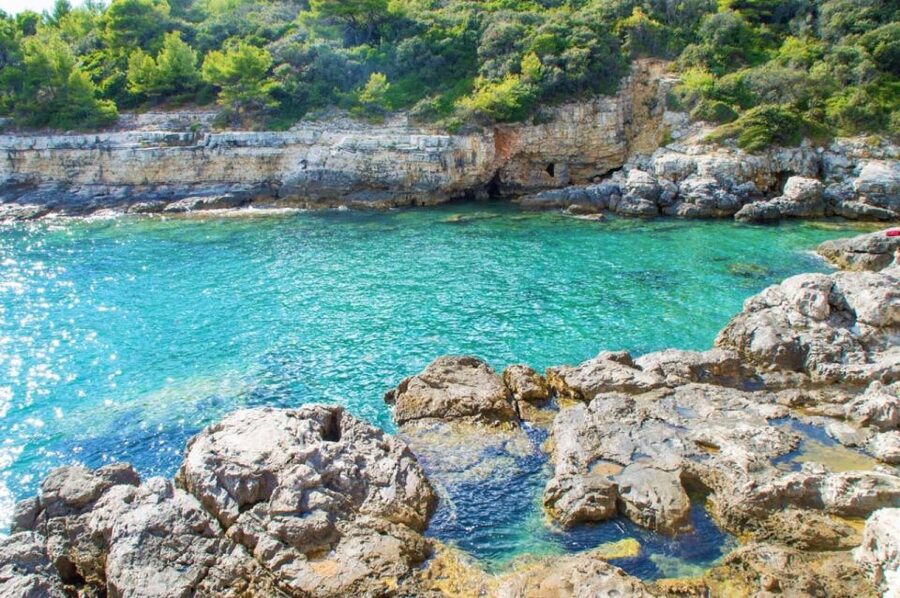 From Fažana: snorkeling at sea cave and Brijuni Island - Muzil and the remains of a military coastline