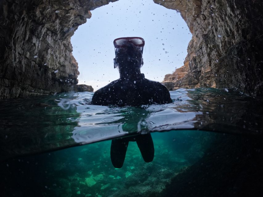 From Fažana: snorkeling at sea cave and Brijuni Island - Is $365 good value for your group?