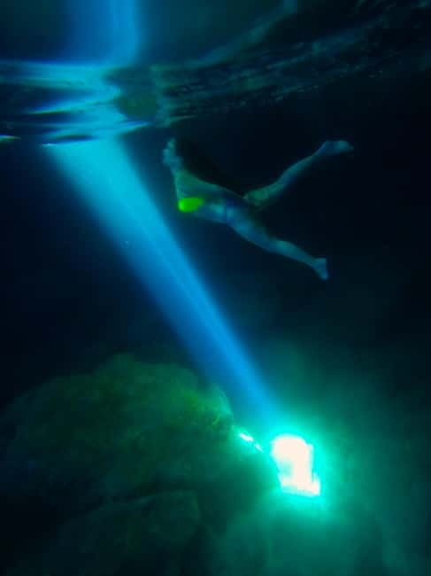 From Hvar: Blue Cave and Pakleni Islands Group Tour - Palmizana Beach on the Pakleni Islands