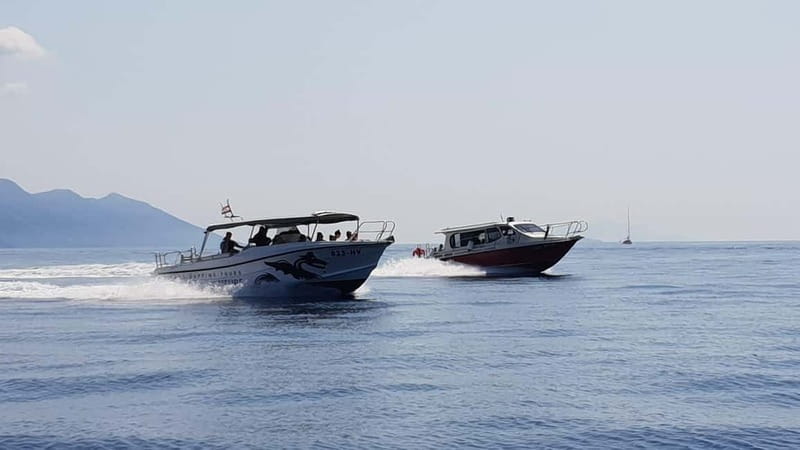 From Hvar: Unforgetable Tour to the Island Vis and Blue Cave - Key points to know before booking