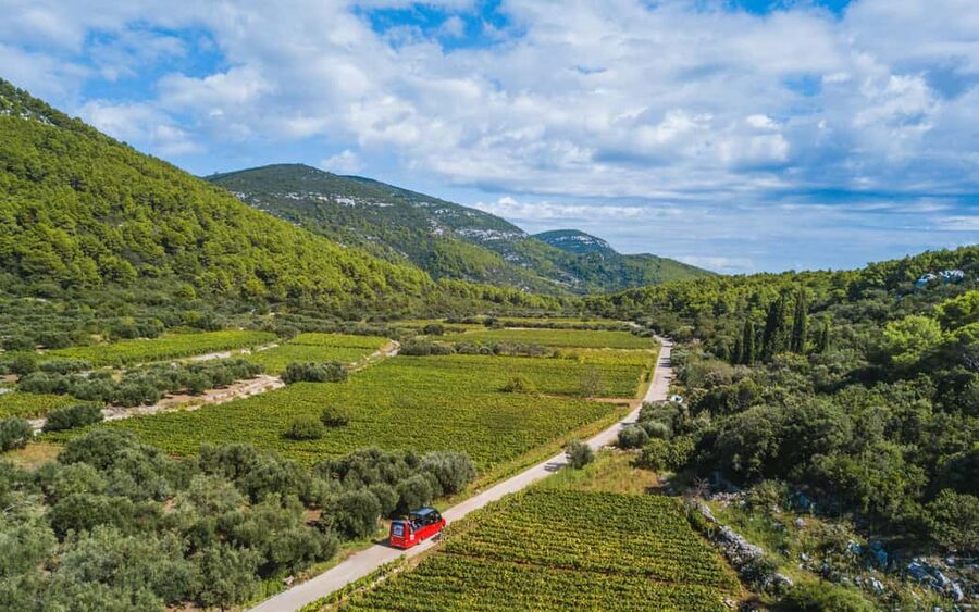 From Korcula Town: Local Wine & Sightseeing Half-Day Tour - The first winery: your introduction to Korcula wine