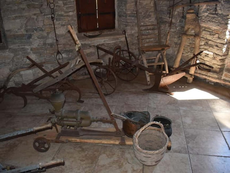 From Korcula Town: Local Wine & Sightseeing Half-Day Tour - Who should book this tour?