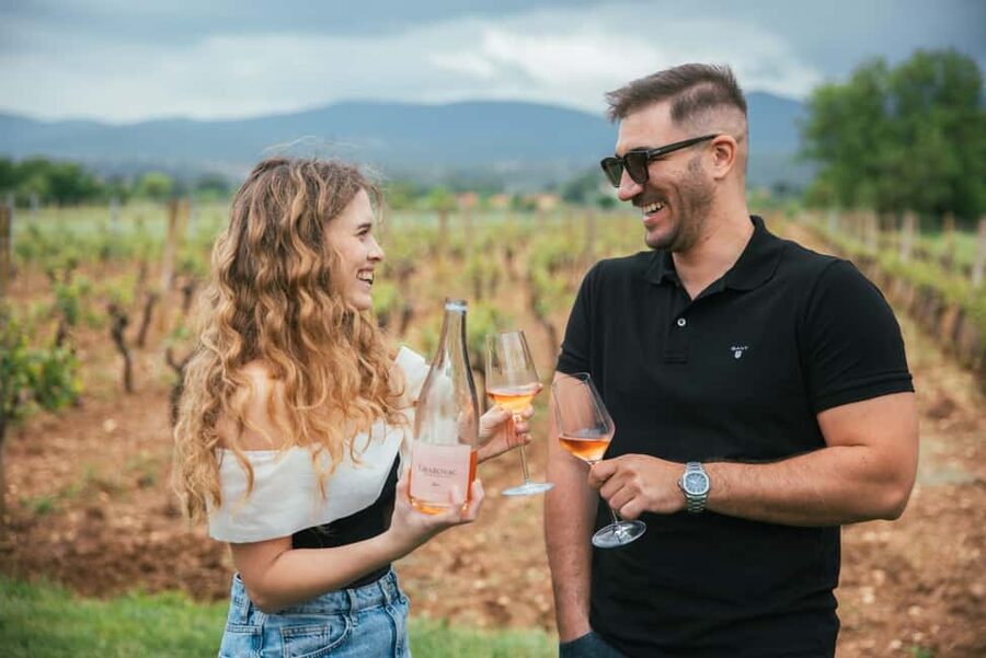 From Makarska : Wine Tasting Grabovac Tour - A 2.5-hour tasting at a family-run winery