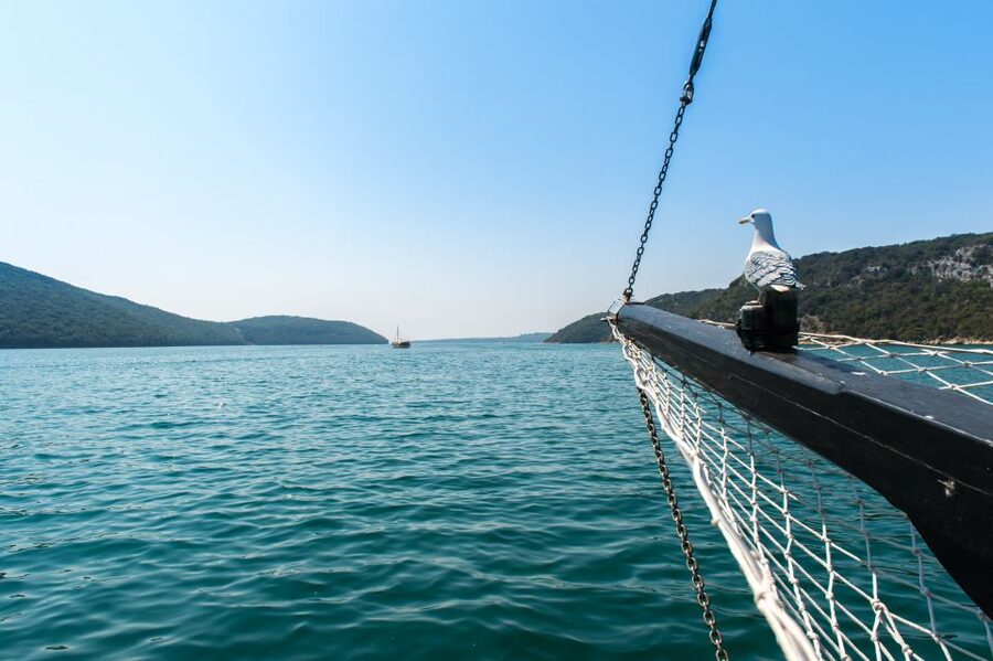 From Poreč: Boat Day Trip to Rovinj with Fish Lunch - The boat crew and overall mood