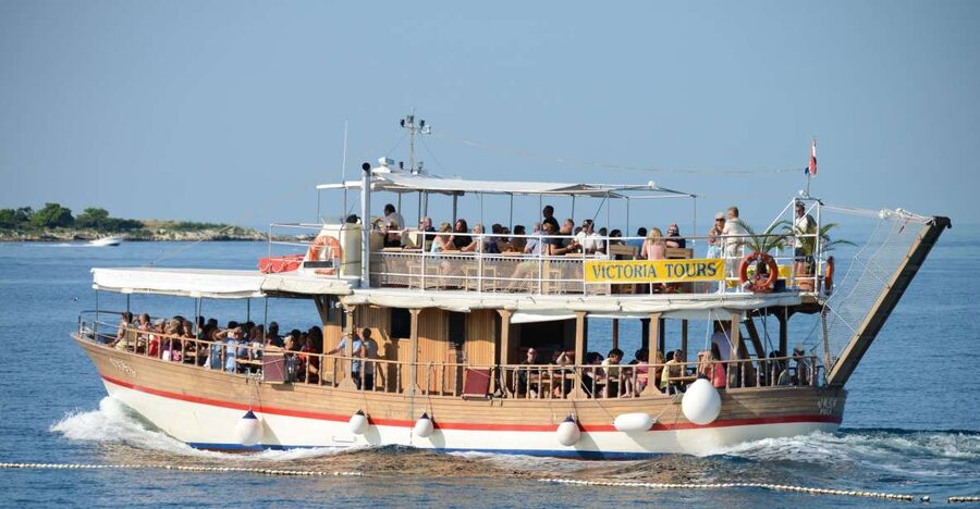 From Poreč: Evening Dolphin Cruise with Welcome Drink - Food, comfort, and what to bring