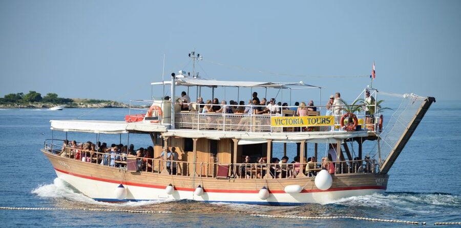From Poreč: Evening Dolphin Cruise with Welcome Drink - Who will enjoy this cruise most?