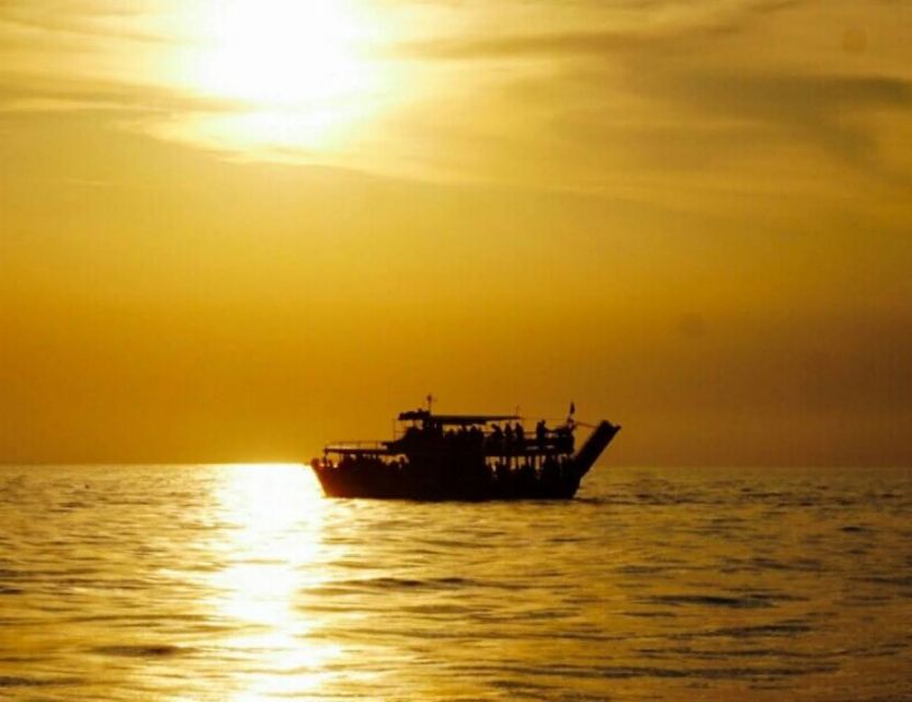 From Poreč: Evening Dolphin Cruise with Welcome Drink - Dolphin watching: exciting, but not always quiet