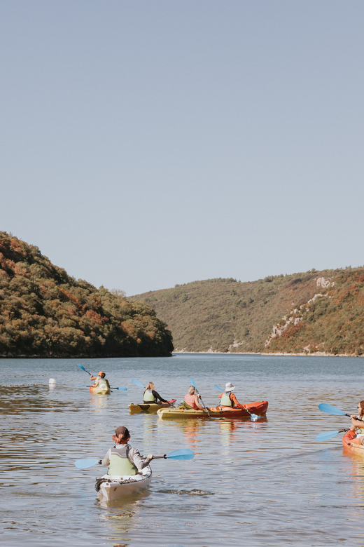 From Poreč: Lim Bay Sea Kayaking Day Trip - The 2.5-hour paddle into the bay