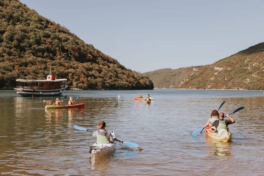 From Poreč: Lim Bay Sea Kayaking Day Trip - What the $70 price includes